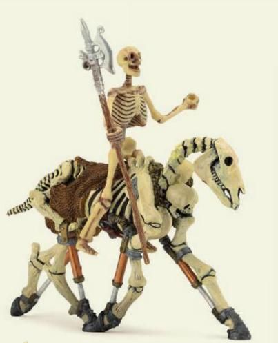 CHEVAL SQUELETTE