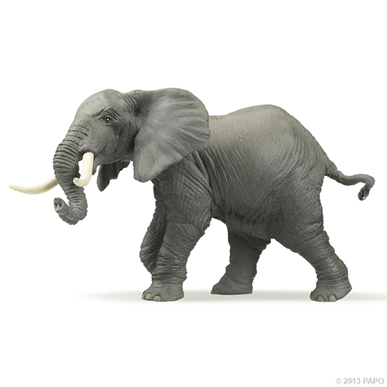ELEPHANT