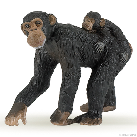 FEMELLE CHIMPANZE ET SON BEBE