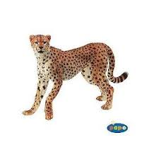 GUEPARD
