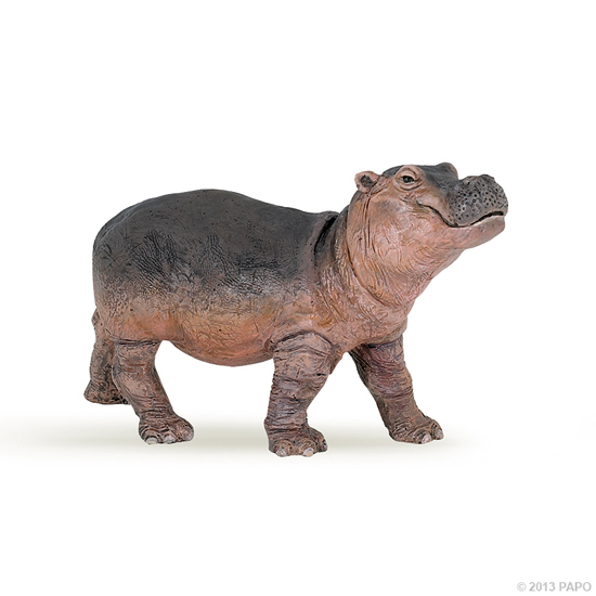 BEBE HIPPOPOTAME