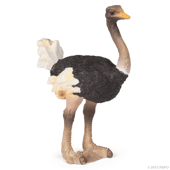 AUTRUCHE