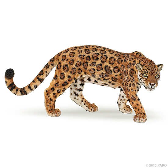 JAGUAR
