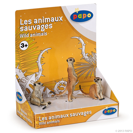 BOITE PRESENTOIR 3 SURICATES