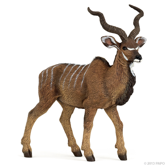 ANTILOPE KOUDOU