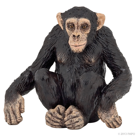 CHIMPANZE