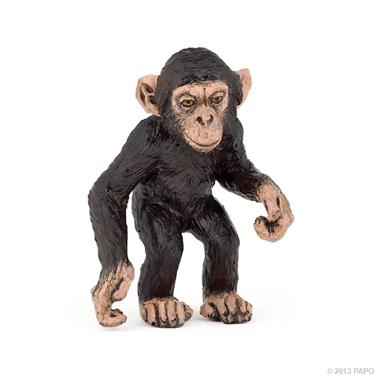 BEBE CHIMPANZE