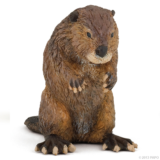 CASTOR