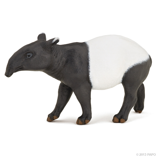 TAPIR