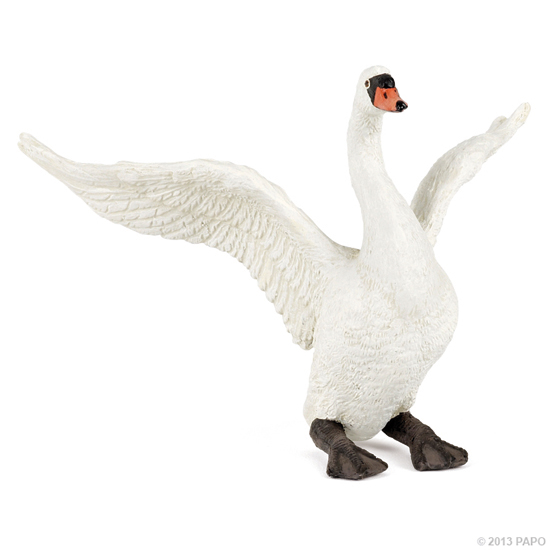 CYGNE BLANC