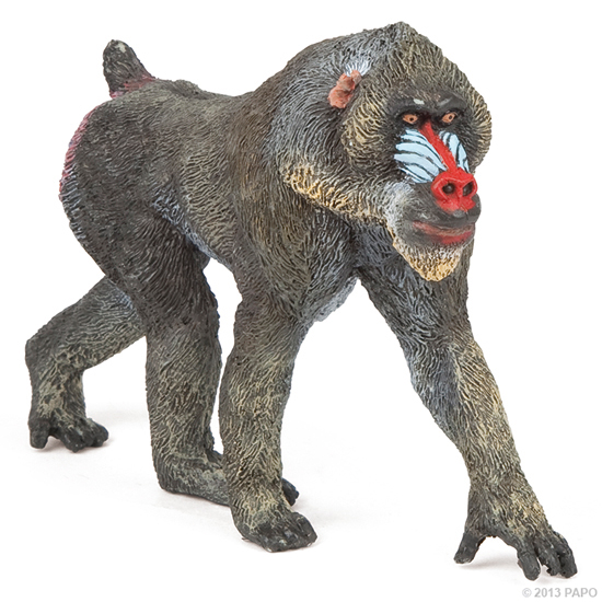 MANDRILL