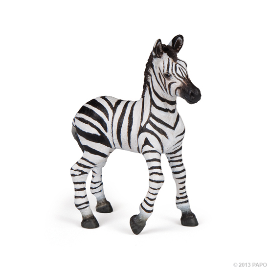 BEBE ZEBRE