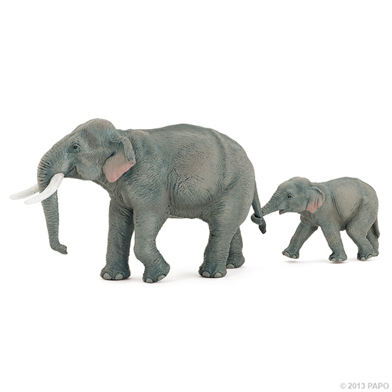 ELEPHANT D'ASIE