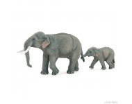 ELEPHANTEAU D'ASIE