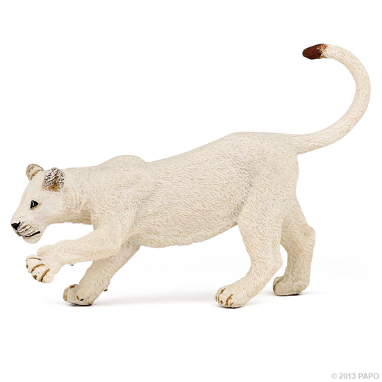 JEUNE LIONNE BLANCHE