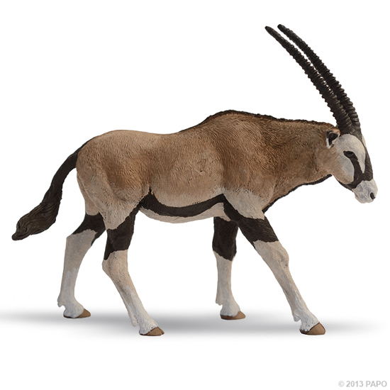 ANTILOPE ORYX