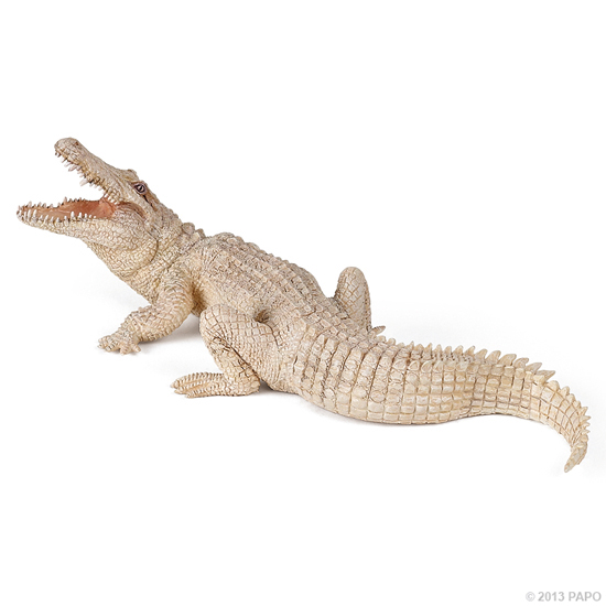 CROCODILE BLANC