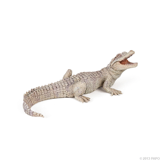 BEBE CROCODILE BLANC