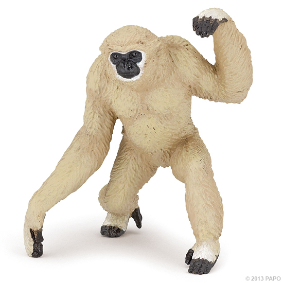 GIBBON
