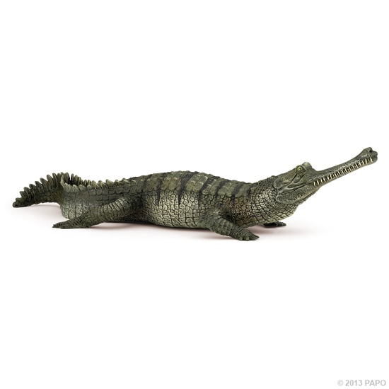 GAVIAL