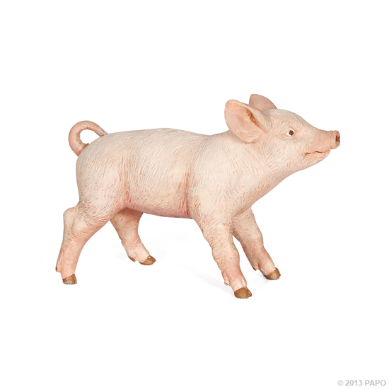 COCHONNET FEMELLE