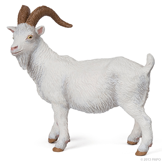 BOUC BLANC