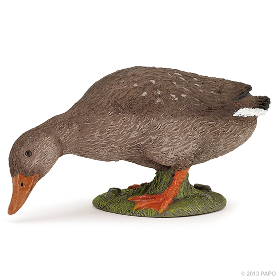 CANE PICORANT