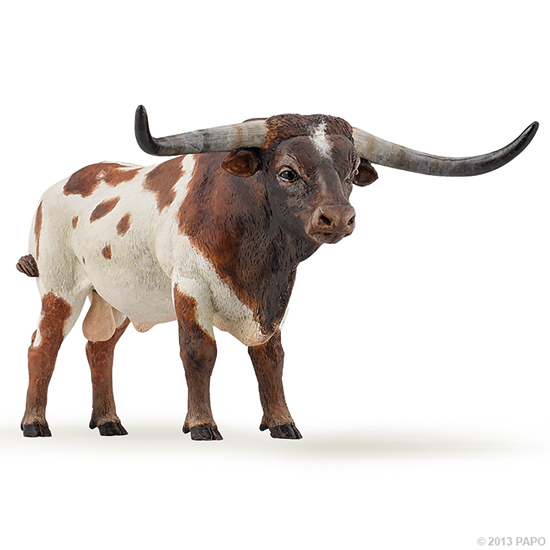 TAUREAU LONGHORN