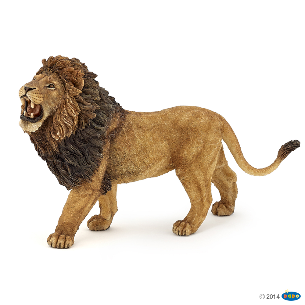 LION  RUGISSANT NOUVEAUTÃ 2014