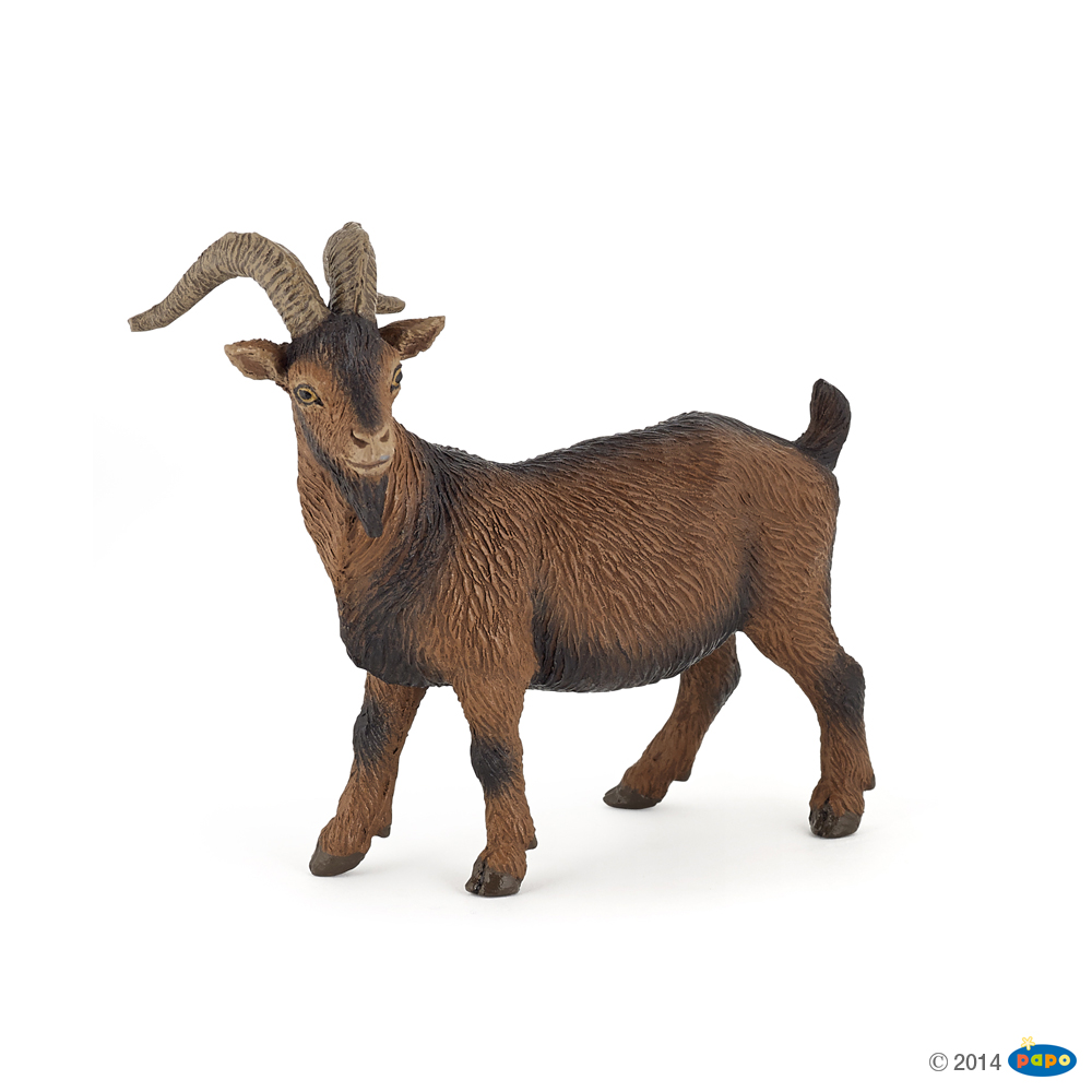 BOUC MARRON