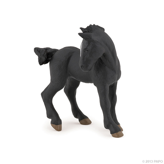 POULAIN PERCHERON