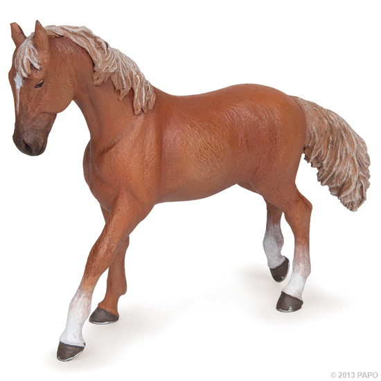 POULAIN QUARTER HORSE