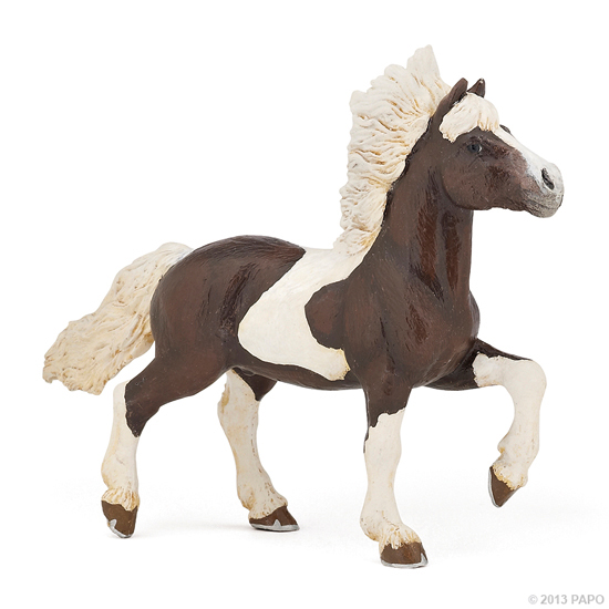 CHEVAL ISLANDAIS PIE ALEZAN