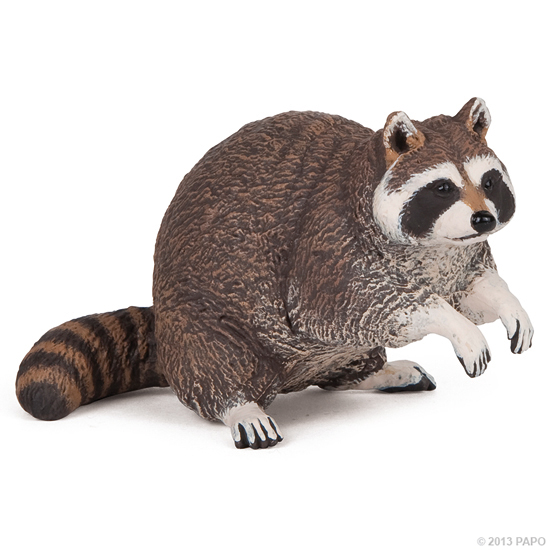 RATON LAVEUR