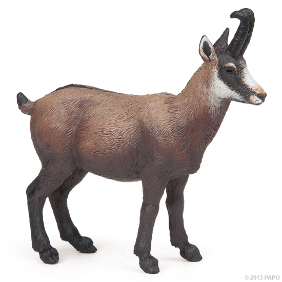 CHAMOIS