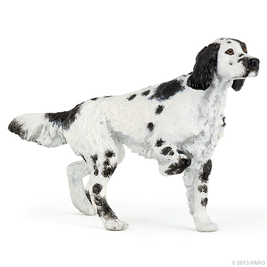 SETTER ANGLAIS