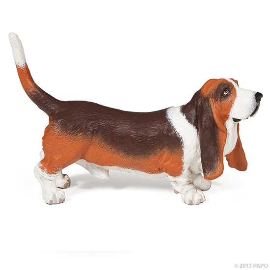 BASSET HOUND