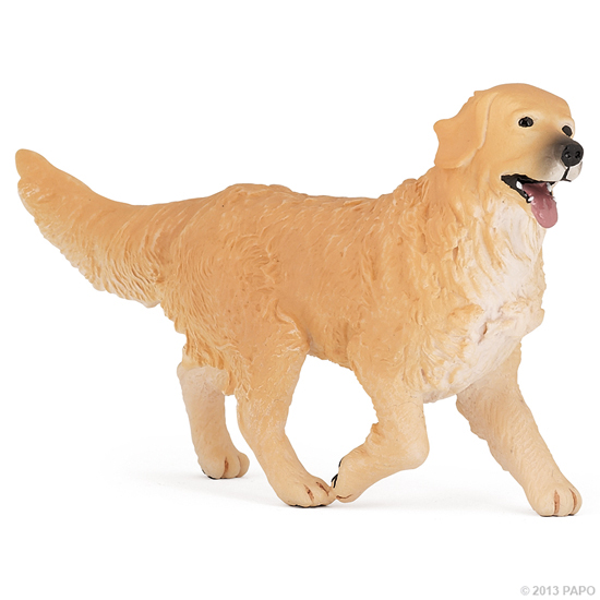 GOLDEN RETRIEVER