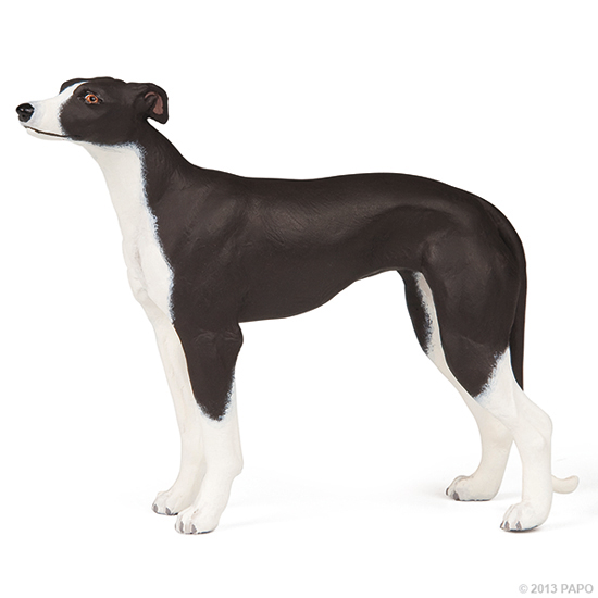 LEVRIER GREYHOUND