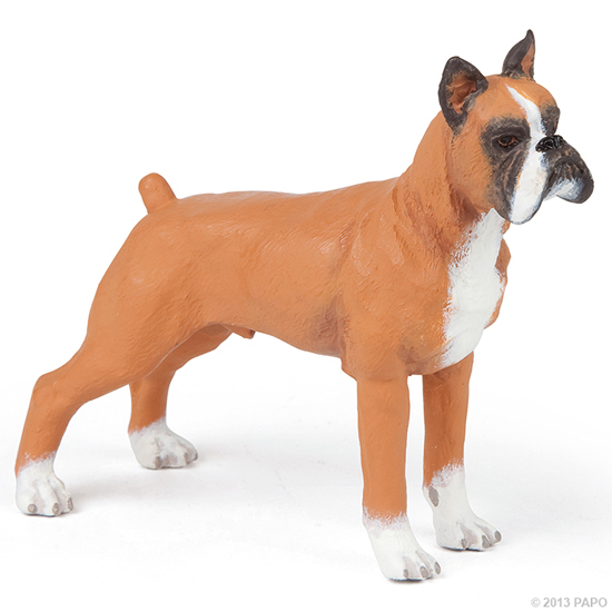 BOXER
