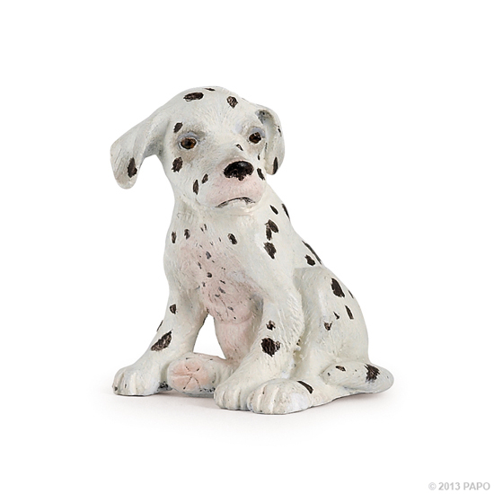 BEBE DALMATIEN ASSIS