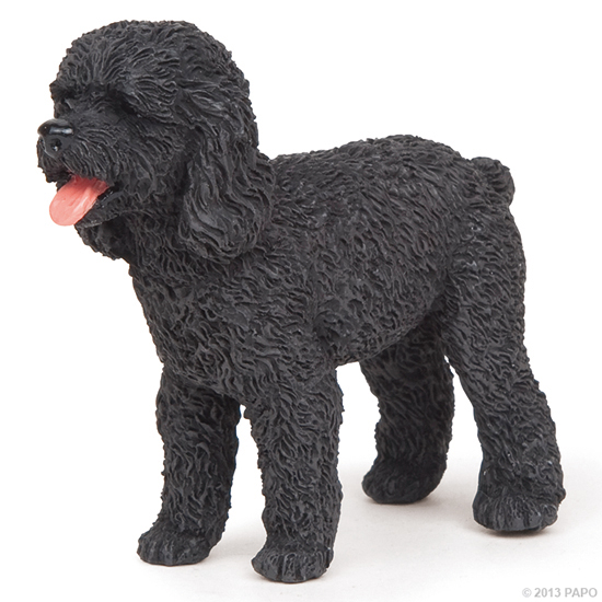 CANICHE NOIR