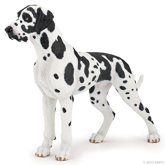 DOGUE ALLEMAND