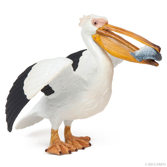 PELICAN