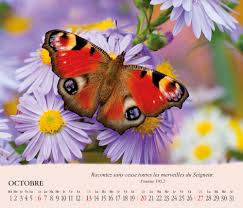 CALENDRIER 2019 ENVOL