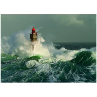 PUZZLE 1000 PCS PHARE