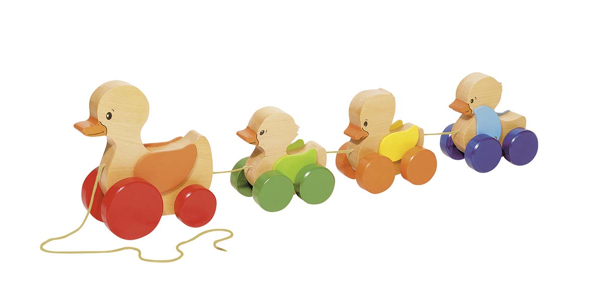 FAMILLE CANARD, ANIMAUX A TIRER