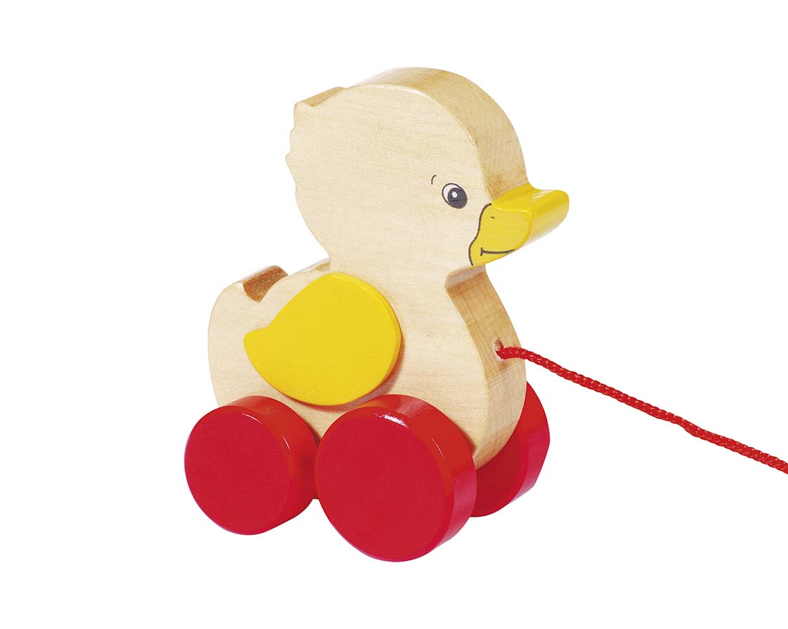 CANARD, ANIMAL A TIRER