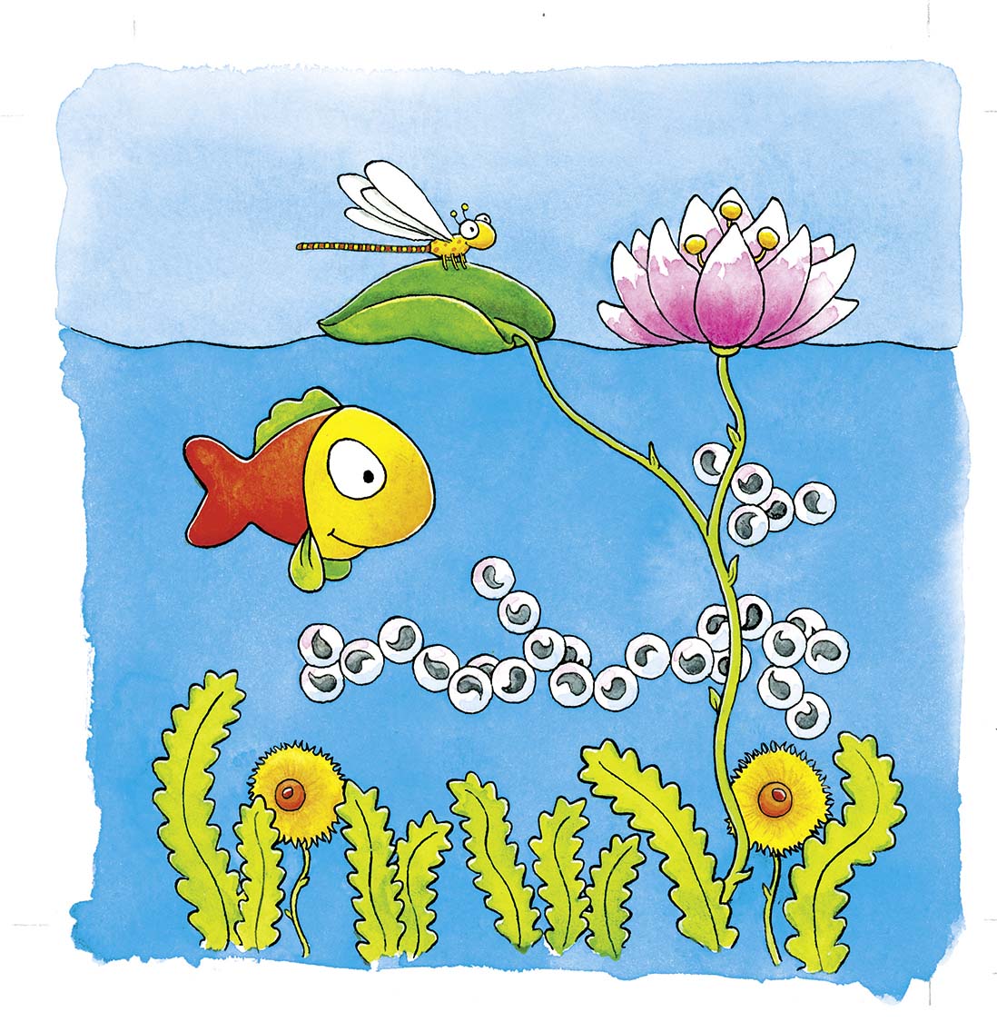 PUZZLE A COUCHES LA GRENOUILLE