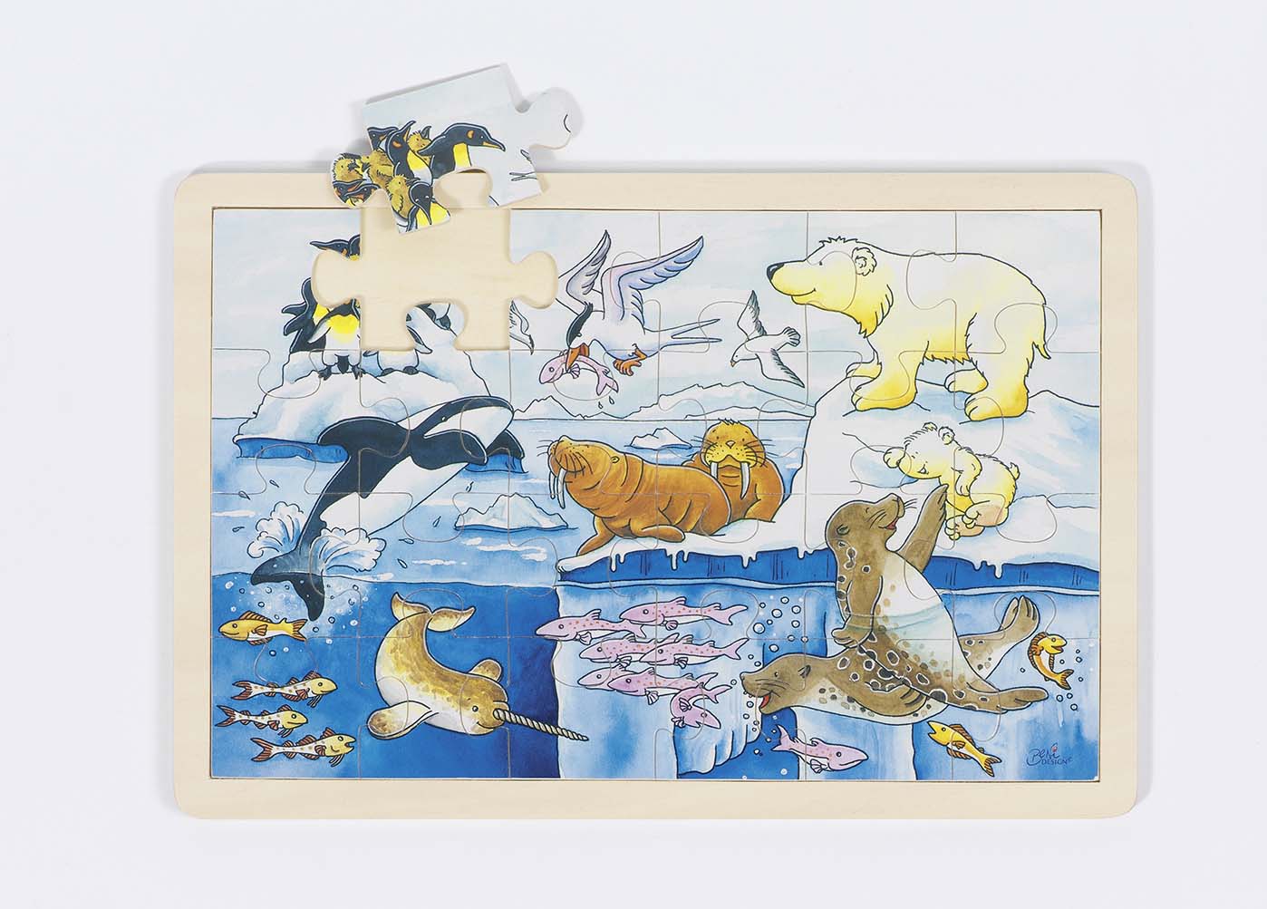 ANIMAUX POLAIRES, PUZZLE